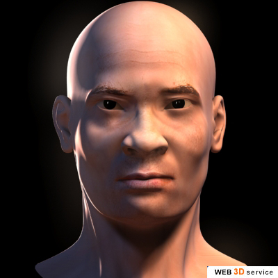Asian male head 3d model - click to buy
